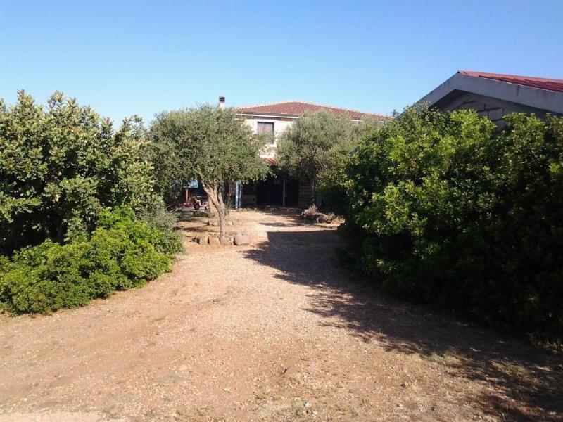 Agriturismo Sa Murta Sennariolo Exterior foto